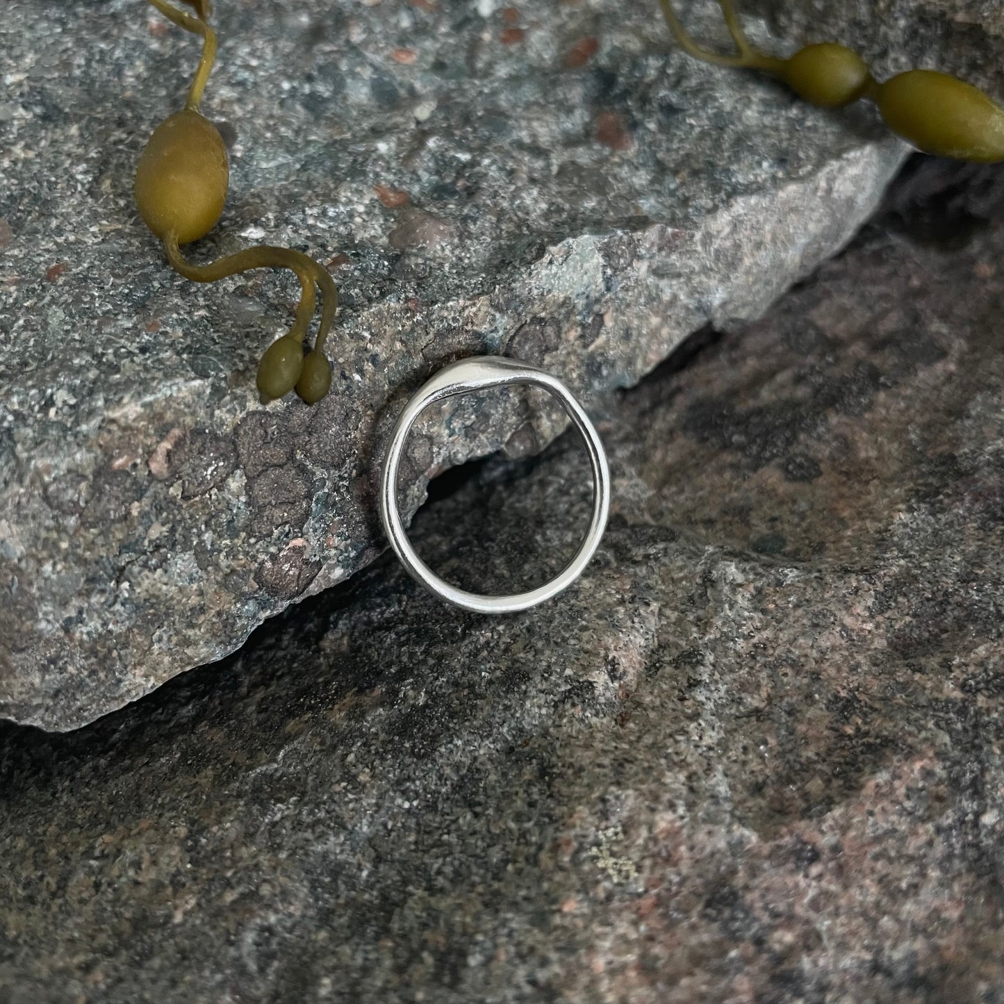 Kelp Ring