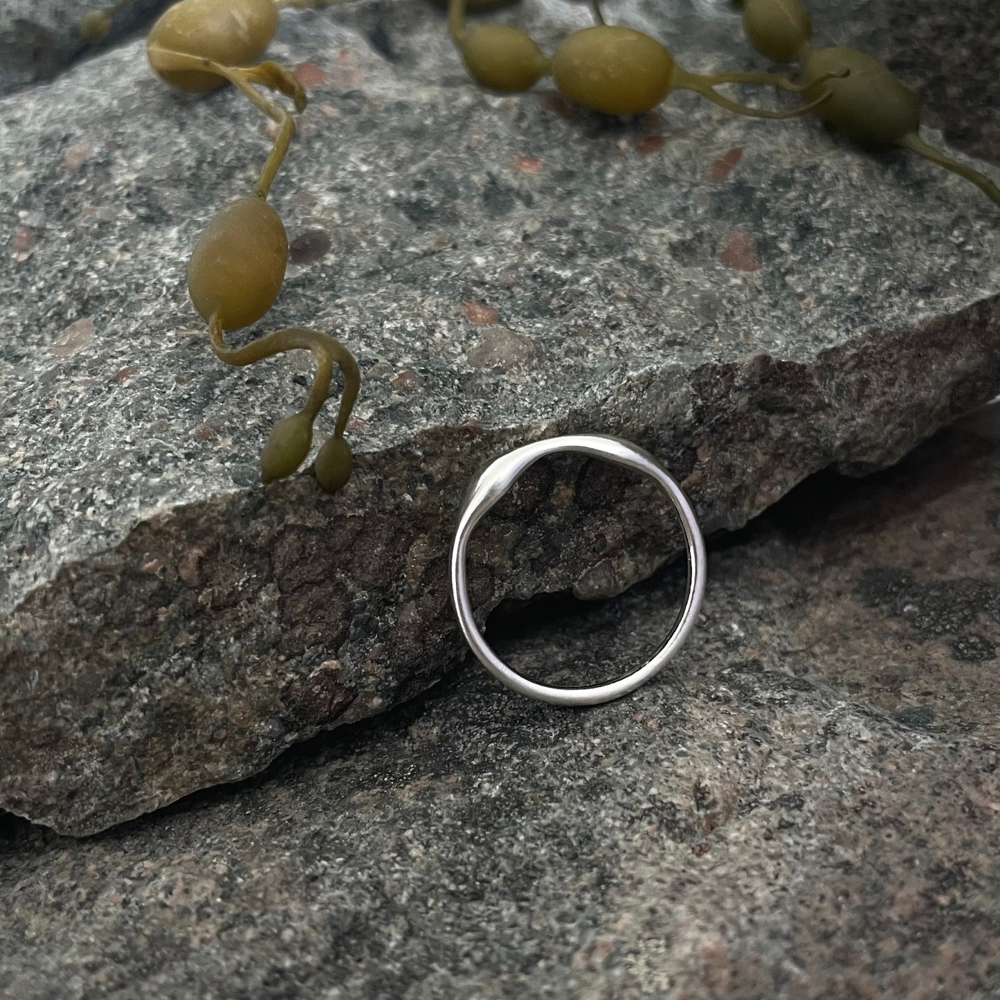 Rockweed Ring