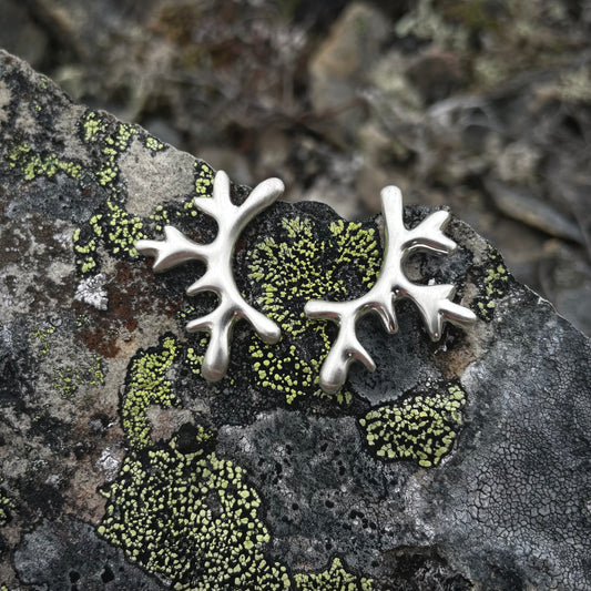 Coastal Lichen Earrings 01