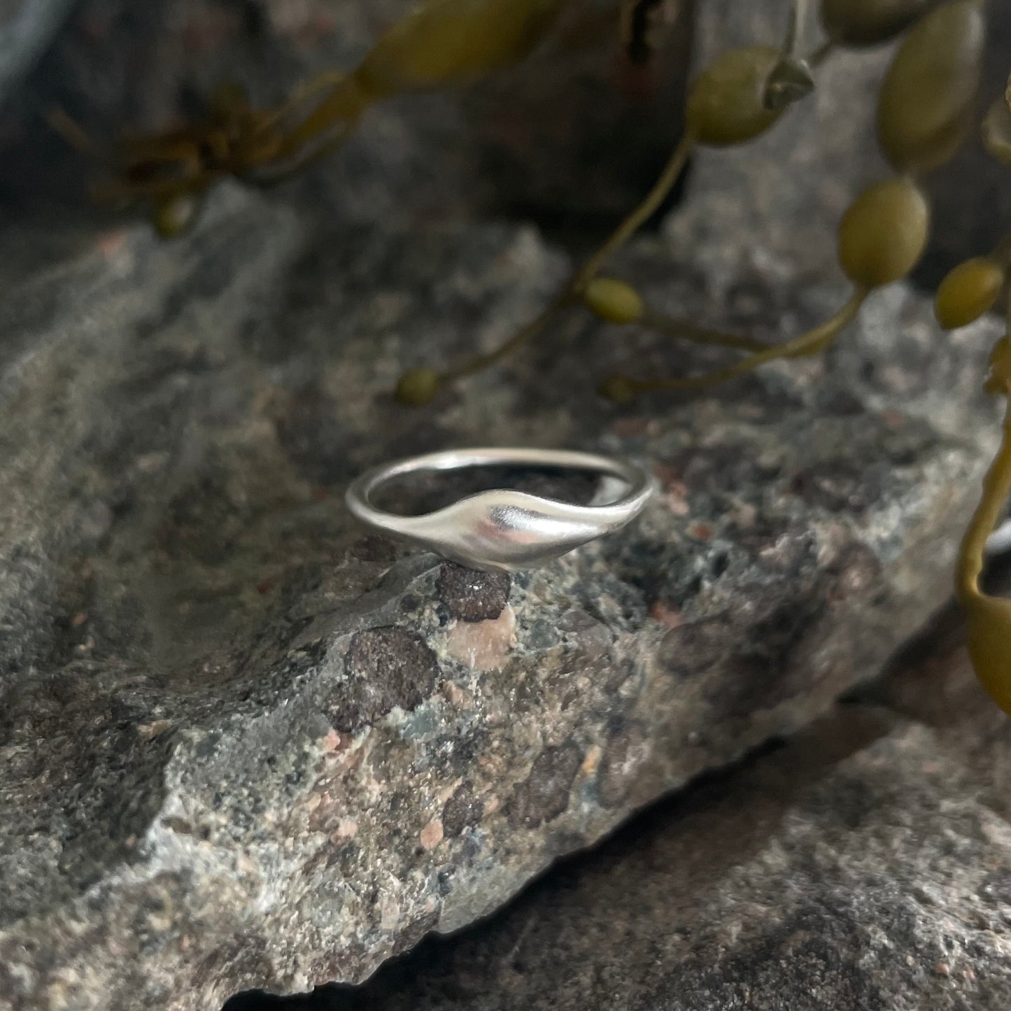 Kelp Ring