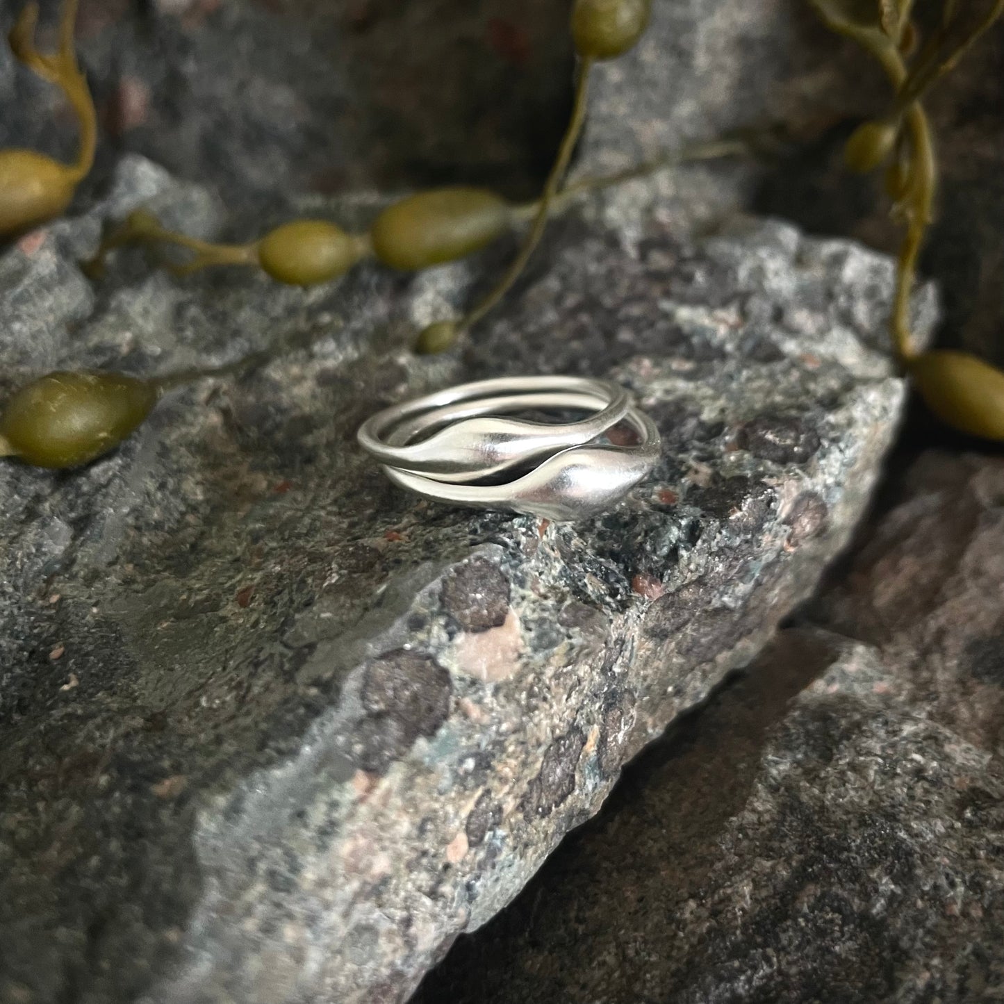 Kelp Ring