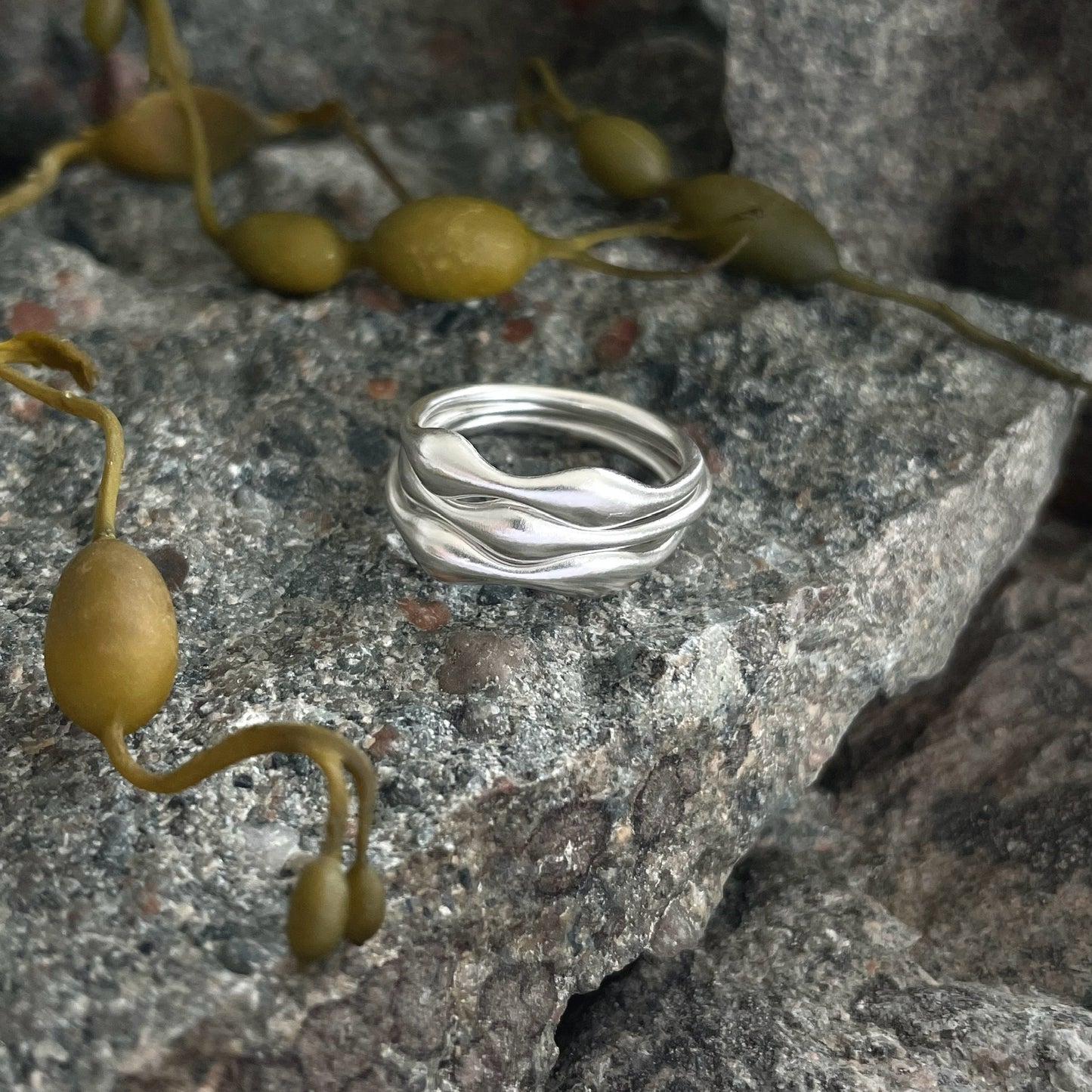 Rockweed Ring
