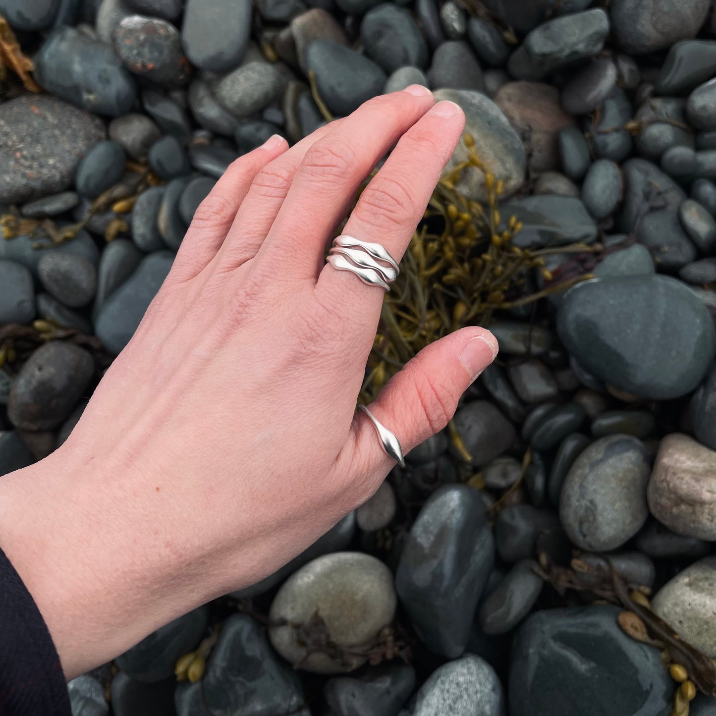 Rockweed Ring